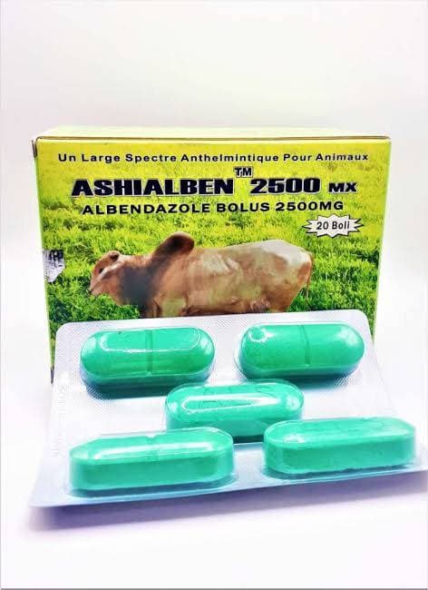 Ashilaben