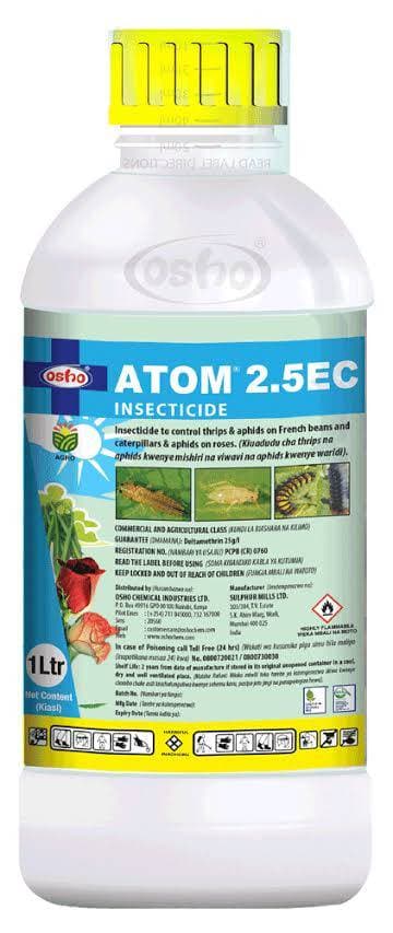 Atom-7