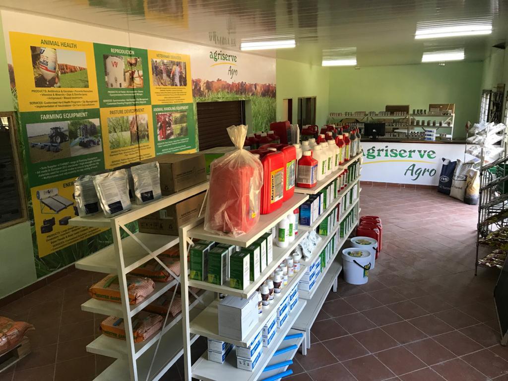 Branch interior with full product range